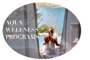 Aqua Wellness Programs